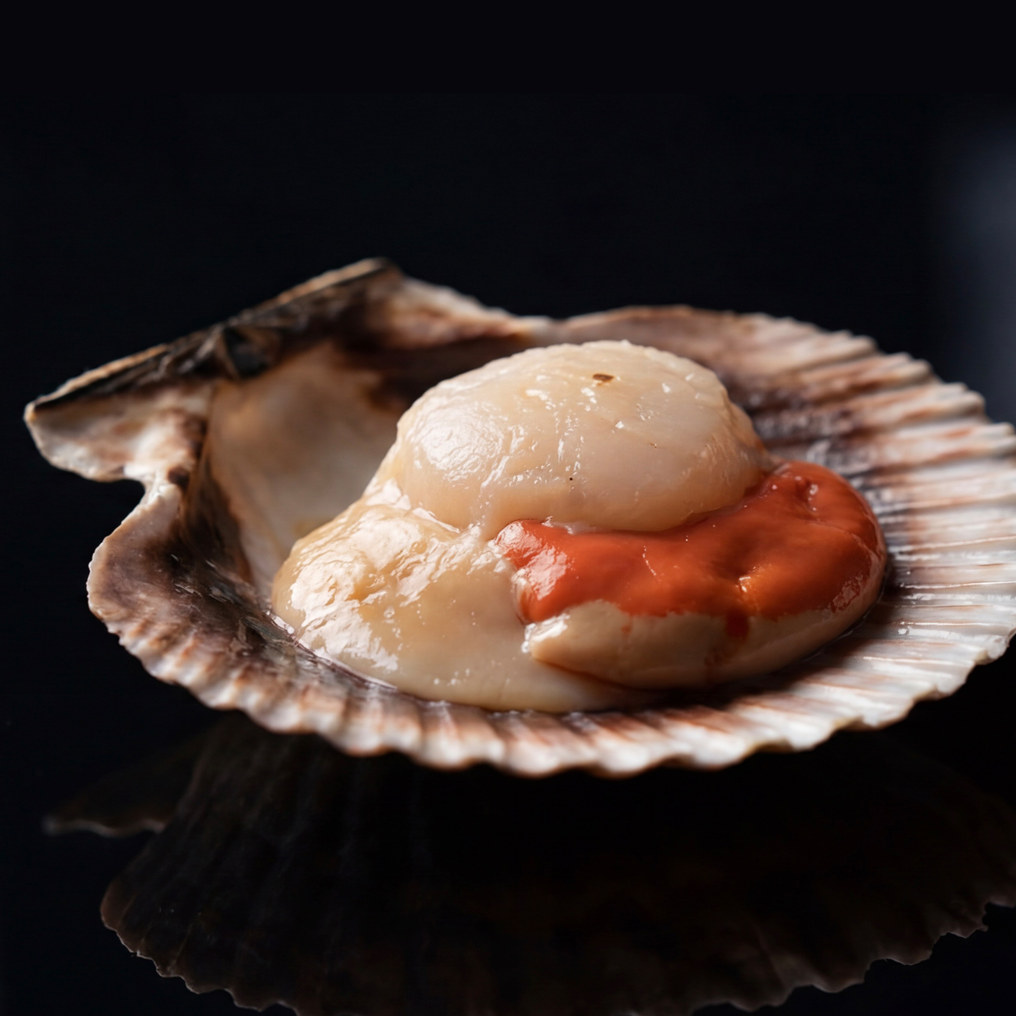 Ķemmīšglie&shy;menes